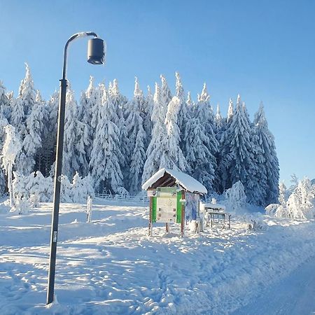 Ferienwohnung Haus Schneider Winterberg Exterior foto