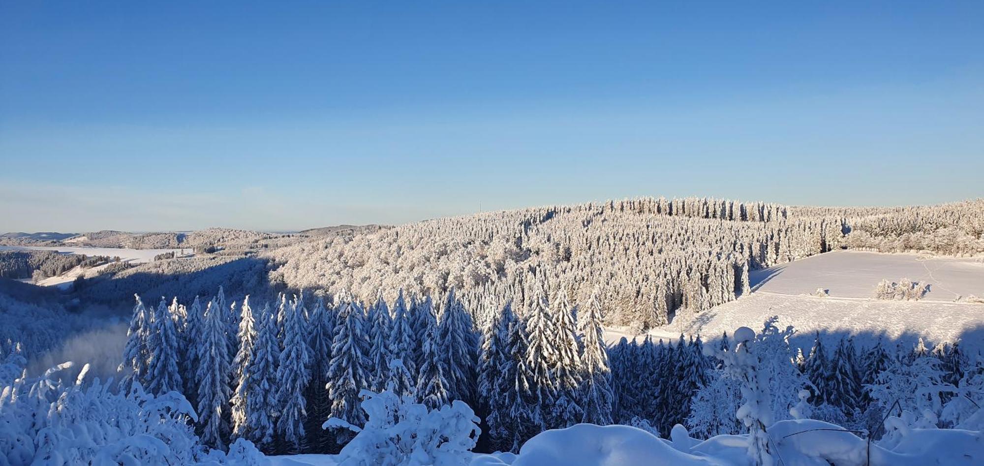Ferienwohnung Haus Schneider Winterberg Exterior foto